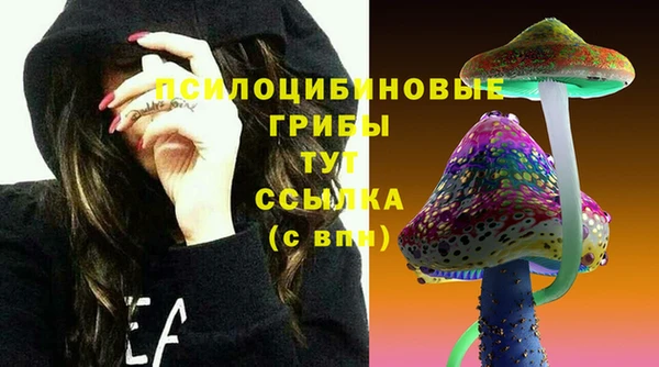бошки Алзамай