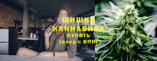 ешки Алексин