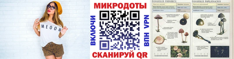цены   mega вход  Псилоцибиновые грибы мицелий  Нижнекамск 