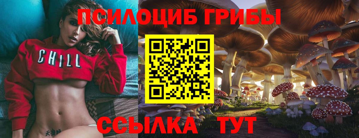 Псилоцибиновые грибы мицелий Нижнекамск